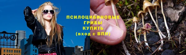 прущая мука Богородицк