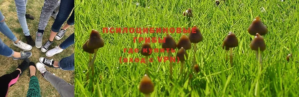 мдма Богданович