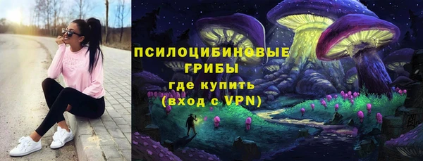 прущая мука Богородицк