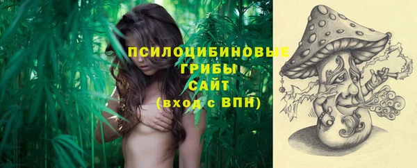 прущая мука Богородицк