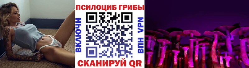 дарнет шоп  Чишмы  Псилоцибиновые грибы мухоморы 